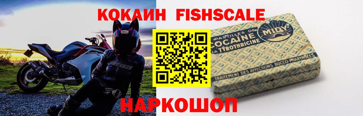 COCAIN Fish Scale Арзамас