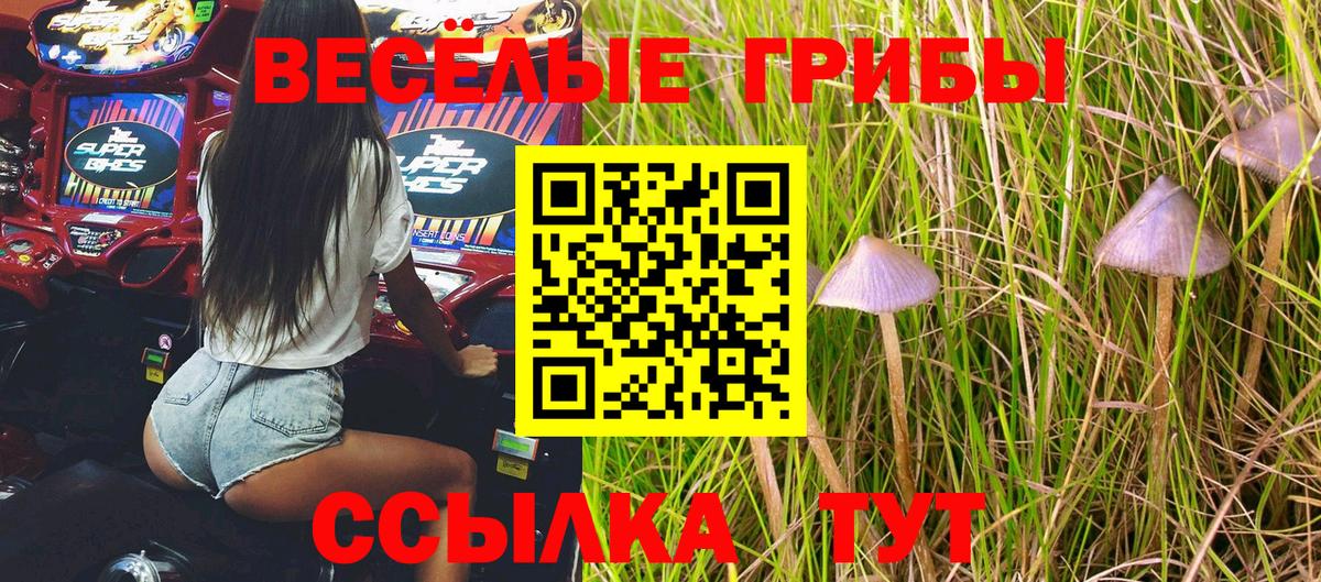 Псилоцибиновые грибы прущие грибы Арзамас